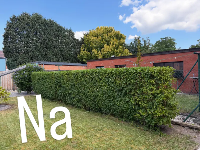 Na: dezelfde haag strak in model geschoren