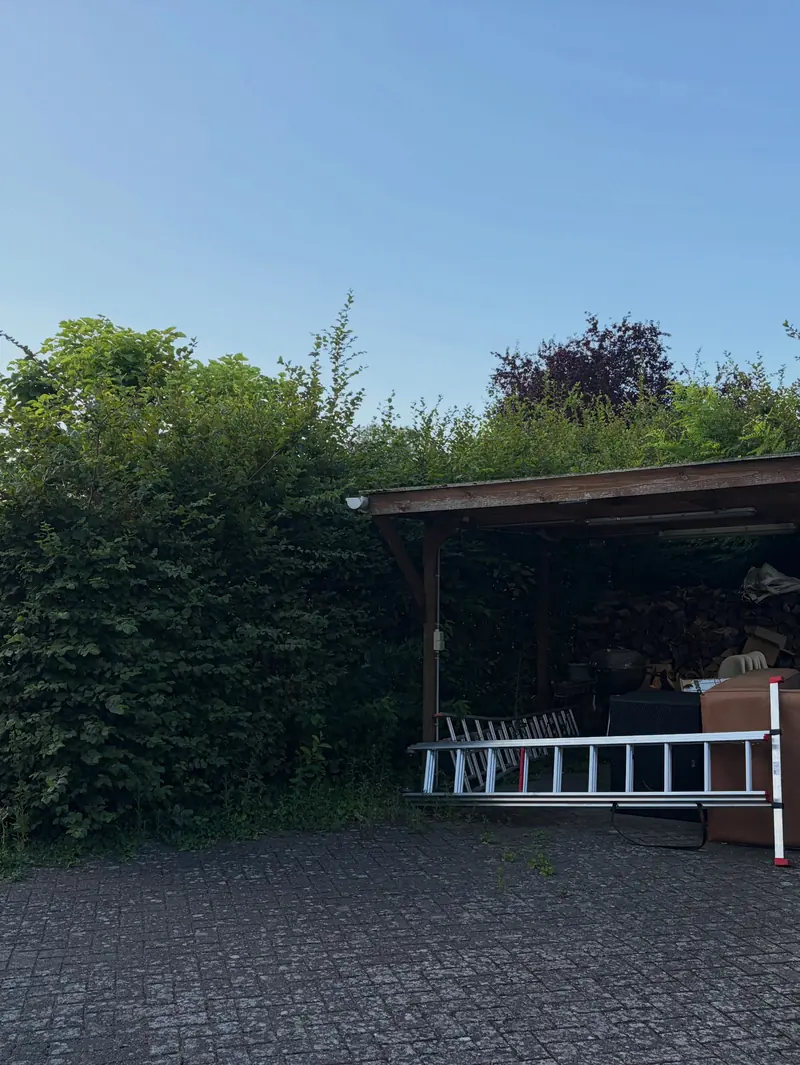 Voor: een carport die bijna verdwijnt achter wilde hagen