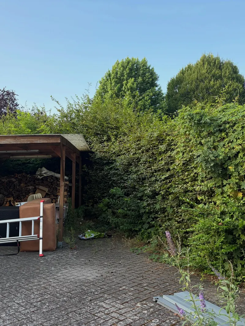 De haag naast de carport voor het snoeien