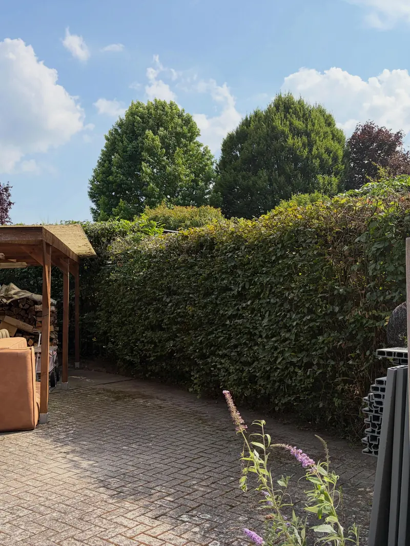 Geschoren haag naast de carport, met vlinderstruik op de voorgrond