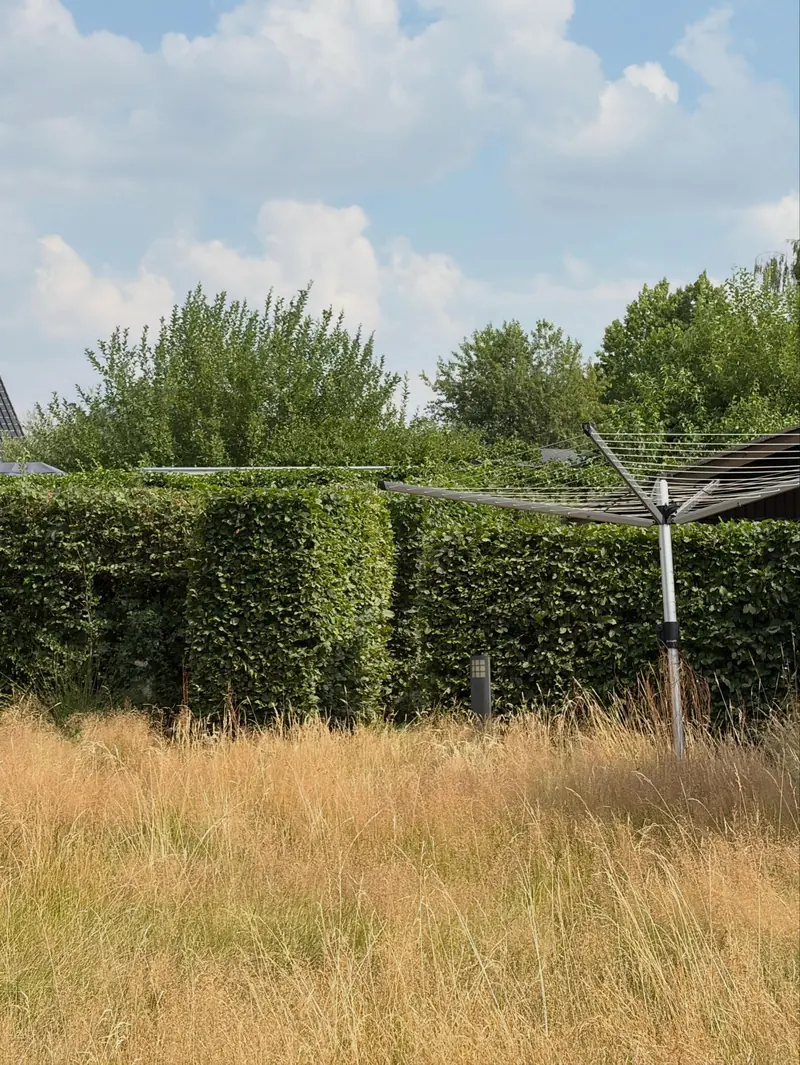 Strak geschoren hagen rond een veld met hoog gras