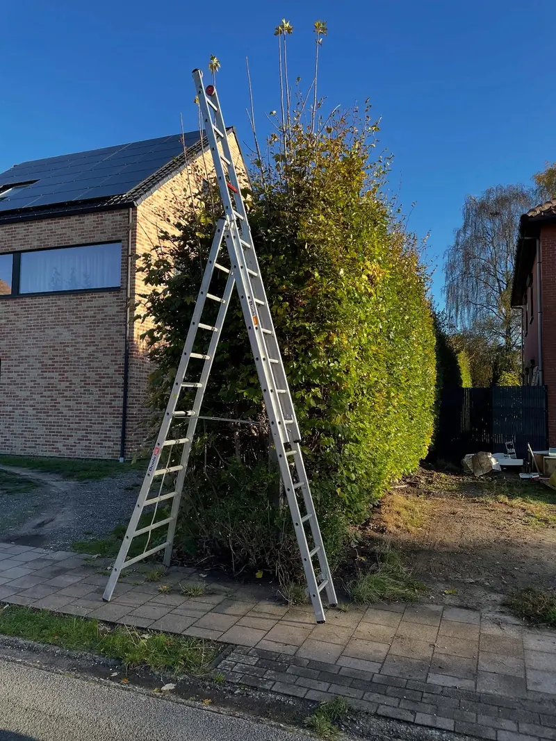 Ladder tegen een haag van 7 meter hoog naast een woning