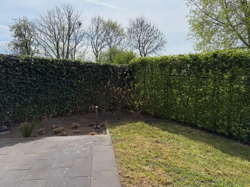 Tuin met geschoren hagen, terras en gazon