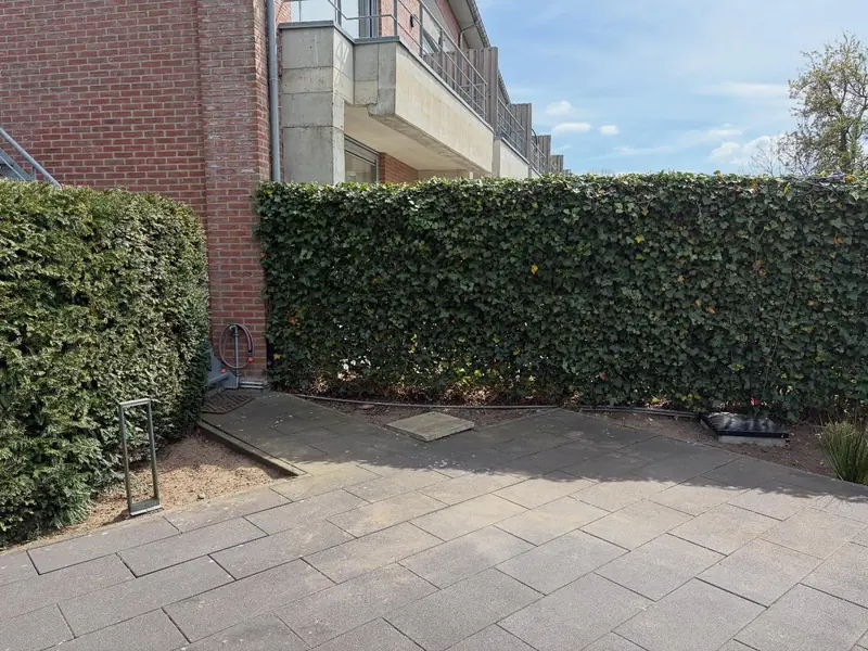 Terras met een strak geschoren haag