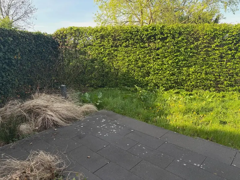 Terras en gazon met geschoren hagen