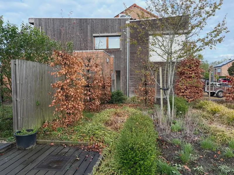 Natuurlijke tuin met siergrassen, heesters en een jonge boom