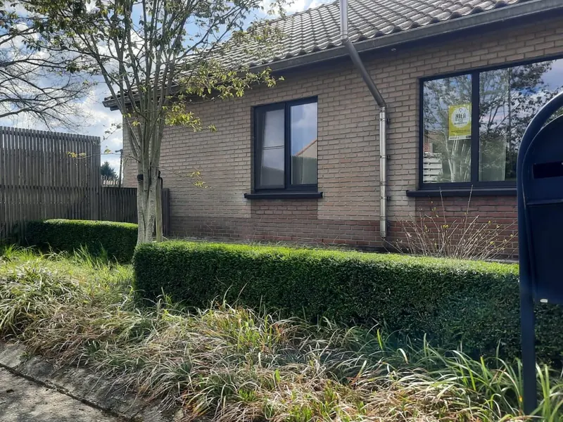 Lage geschoren haag voor een bakstenen woning