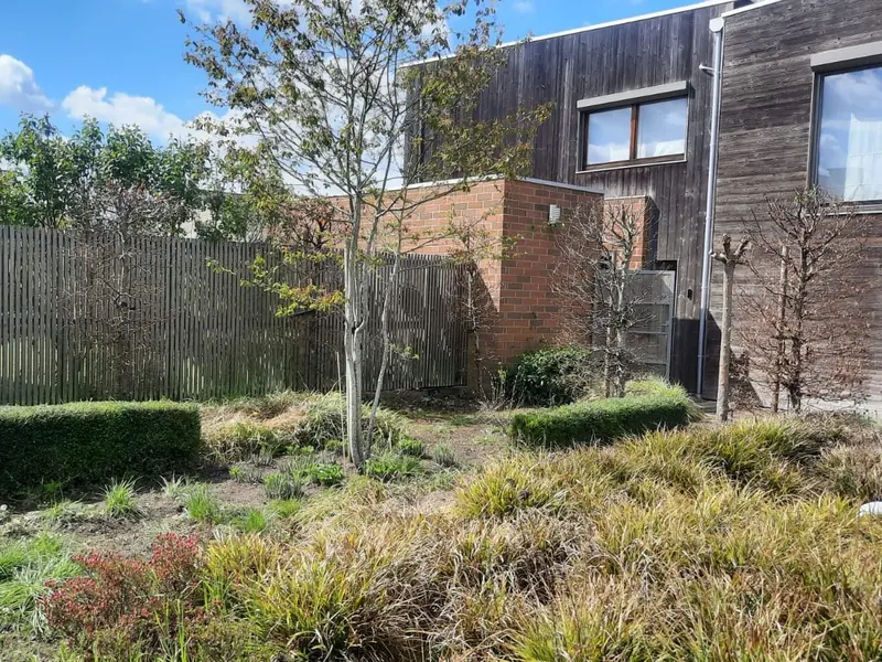 Voortuin met siergrassen en jonge bomen voor een houten gevel