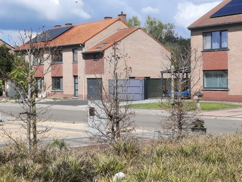 Siergrassen en jonge bomen langs de straat