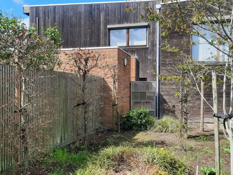 Jonge boom tussen siergrassen naast een houten schutting