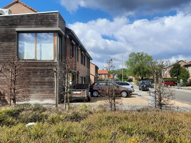 Voortuin met siergrassen voor een woning met houten gevel
